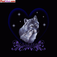 /album/galeria-de-fotos/asdasdsa-gif/